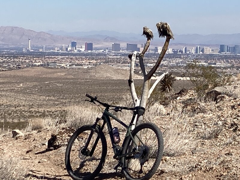 Views toward the strip.