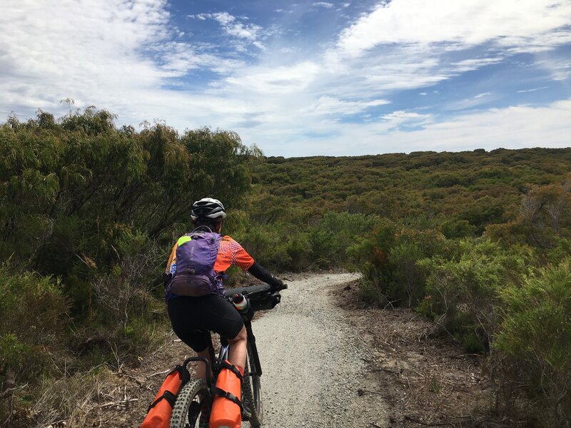 After the wind farm (south to north direction) is the new flowing track cut through the dunes and packed with gravel. The only beach dunes ride I know of in WA.