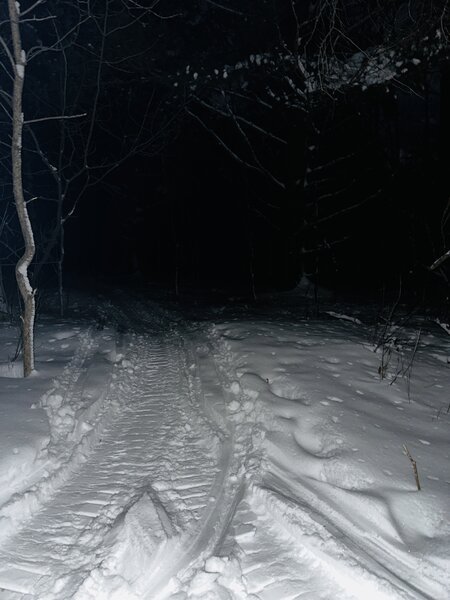 Winter grooming of Sherman Lake singletrack.