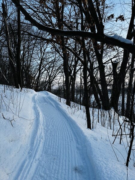 Top of the swoopy downhill on the backside of Sherman Lake.