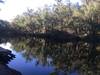 Swimming spot with stairs in Murray River.