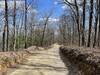 Descend from Winding Stair Gap on Winding Stair Gap Road.