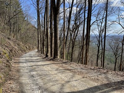View on descend via Winding Stair Gap Road (FS77)