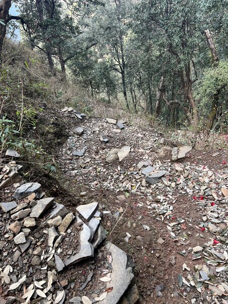 Tight switchbacks you get to ascend if riding in the recommended way, or descend if you go straight from Jabarkhet.