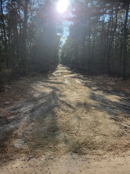 Bulldozed Road at Tuckerton Road