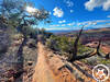 Hawks Glide above Porcupine Rim 4x4 road.