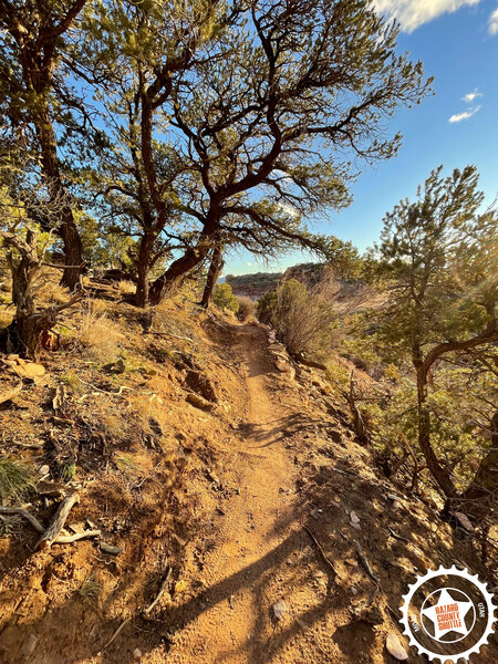 Hawks Glide singletrack to Sand Flats Road