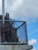 Osprey Nest