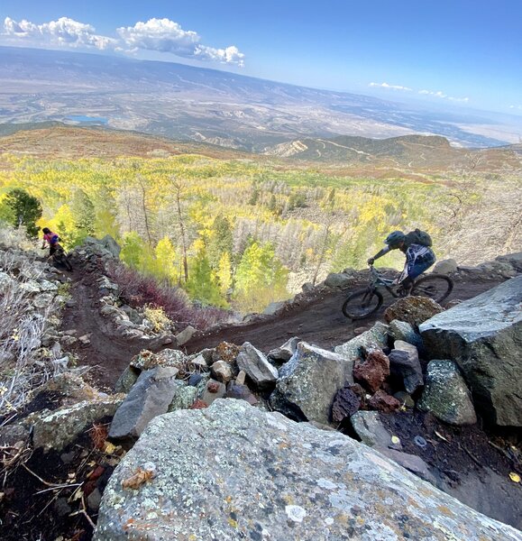 Palisade Plunge