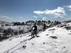 Snowy Vallevecchia