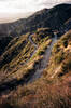 Climbing up the Haines Canyon fire road.