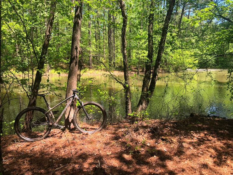 Lil Badger when Allatoona Creek is high.