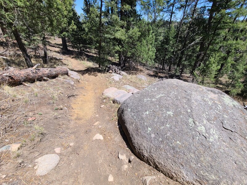 Fun rock feature on the extended loop.