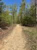 Creek to cross, steep parts, hoof prints are abundant.