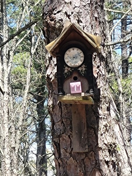 Fun Bird House along Inskip Rd.