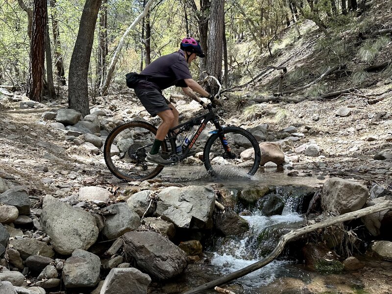 Crossing Greenhouse Creek on a beautiful spring day.