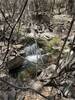 The waterfall near where you'll cross the North Fork of Cave Creek.