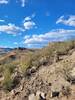 Just a view looking north from the trail.