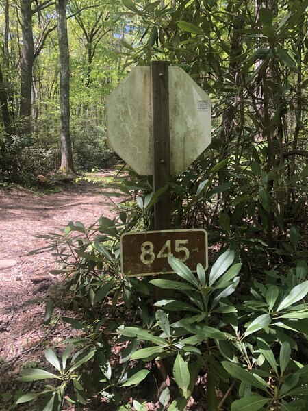 Start of trail at end of Rowland Creek lane. Good place to park.