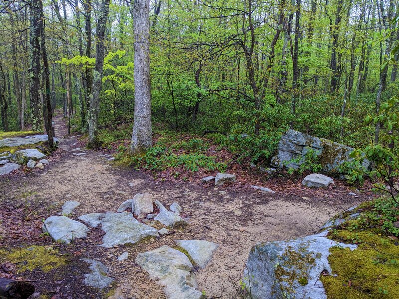 Intersection with the cross cut trail.