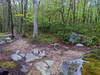 Intersection with the cross cut trail.