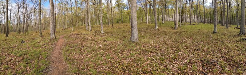 cleared area, before climb up.