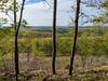 view from the top, above the clearing