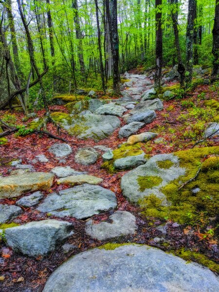 Manicured rocks on Crosscut Trail.