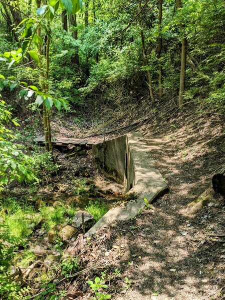 Trail at Buck Creek