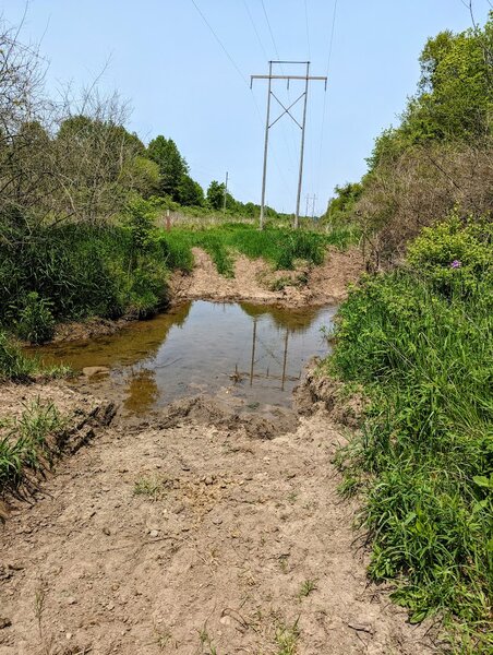 Trail at Buck Creek