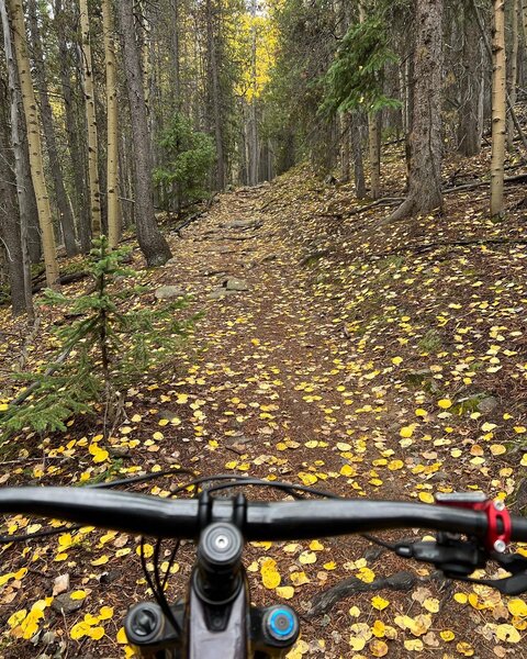 Nice fall colors at Cub Creek.