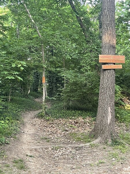 Corby North now has a trailhead sign!