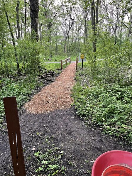 Wood chips to keep the trail entrance dry.