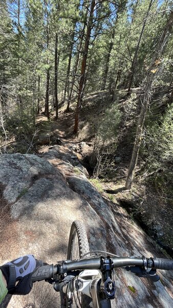 Rock Garden Drop