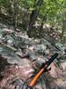 Steep rock garden near the intersection with Gateway trail.