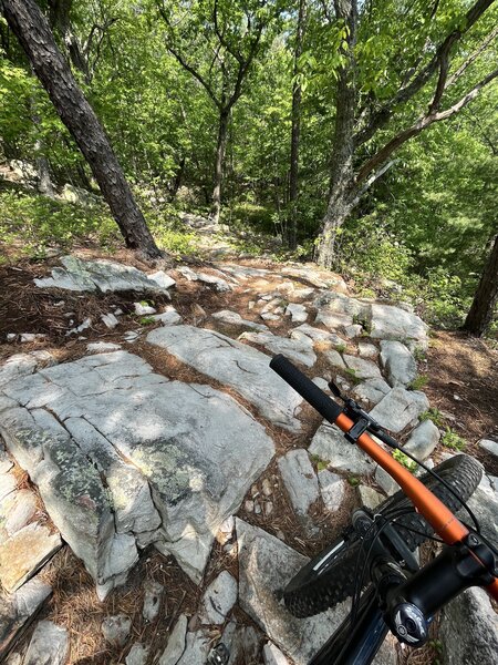 Rock gardens on the west side.