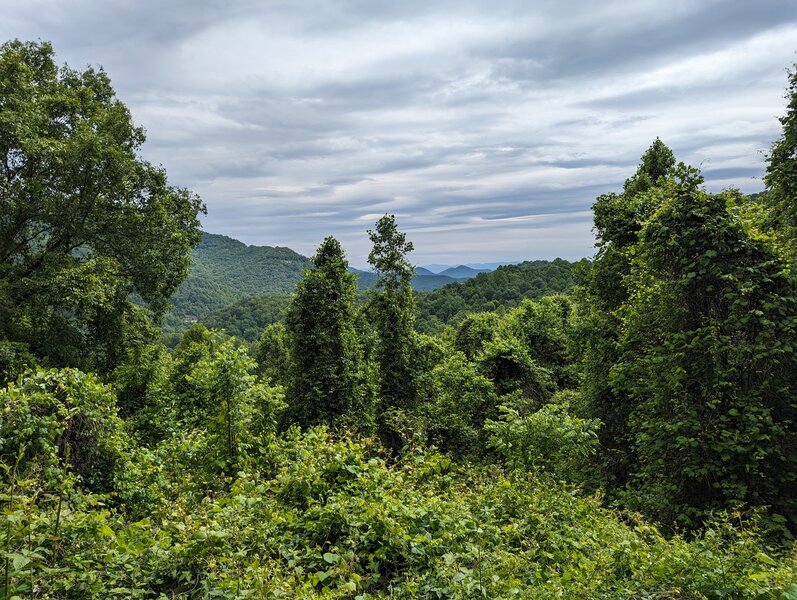 About halfway up Papertown Express Upper