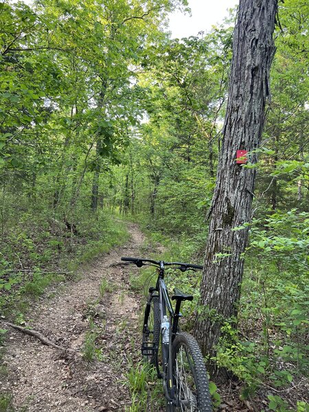 Trail of the Four Winds