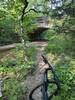 Bridge over the creek.