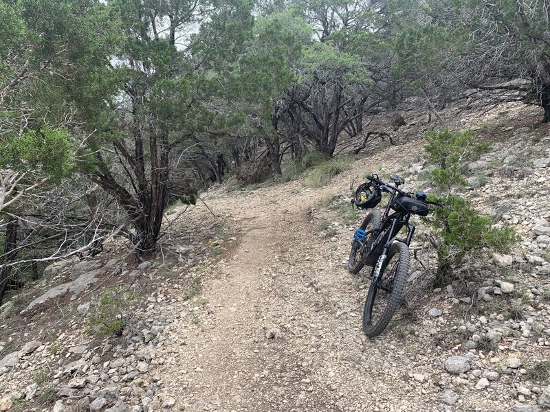 Side trail overlooking Pedernales river.