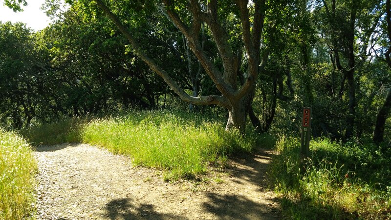 Val Vista Trail at Del Casa Fire Road.