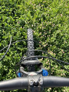 The trail hasn't been mowed in a LONG time. Try to follow the clover if you are up for a challenge!