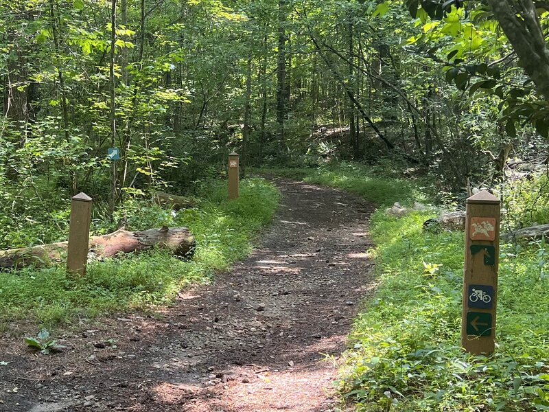 Somebody has put blue and orange arrows on trees. In many cases they contradict the more established bike and equestrian signs. These could be great trails if it weren't for the horrible signage.