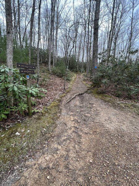 A tricky turn up the mountain near Pandapas Pond.