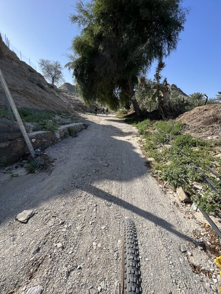 Nice dirt track.