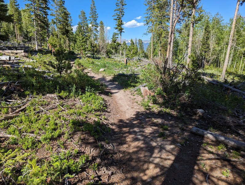 Easy singletrack with nice vistas.