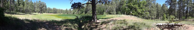 Zuni Mountains trails system. Gallup New Mexico.