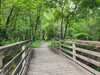 Bridge across creek.