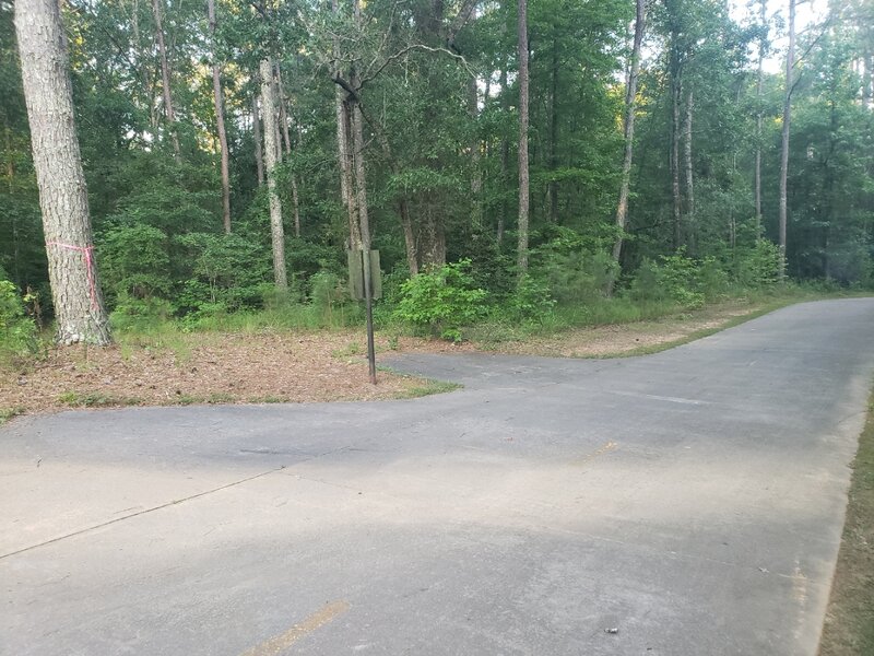 Entrance to Chattahoochee Trail to the left of the tree.