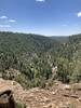 Cool view of the trail below in Walnut Canyon.